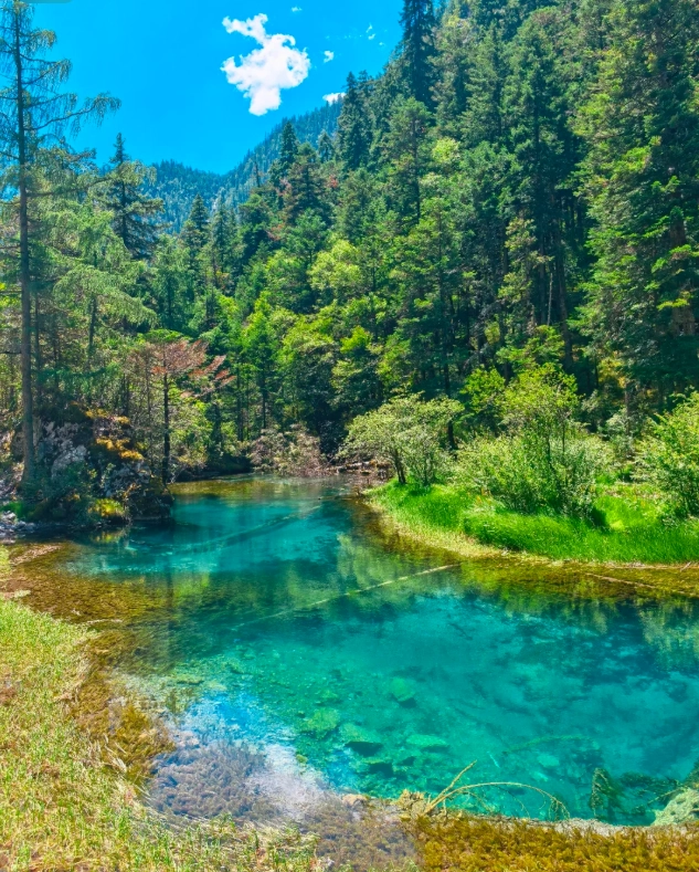 sichuan itinerary 7 days sichuan itinerary 7 days