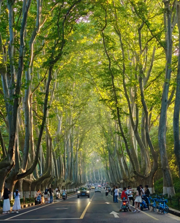 Free Things to Do in Jiangsu: 12 Zero-Cost Gems Locals Love