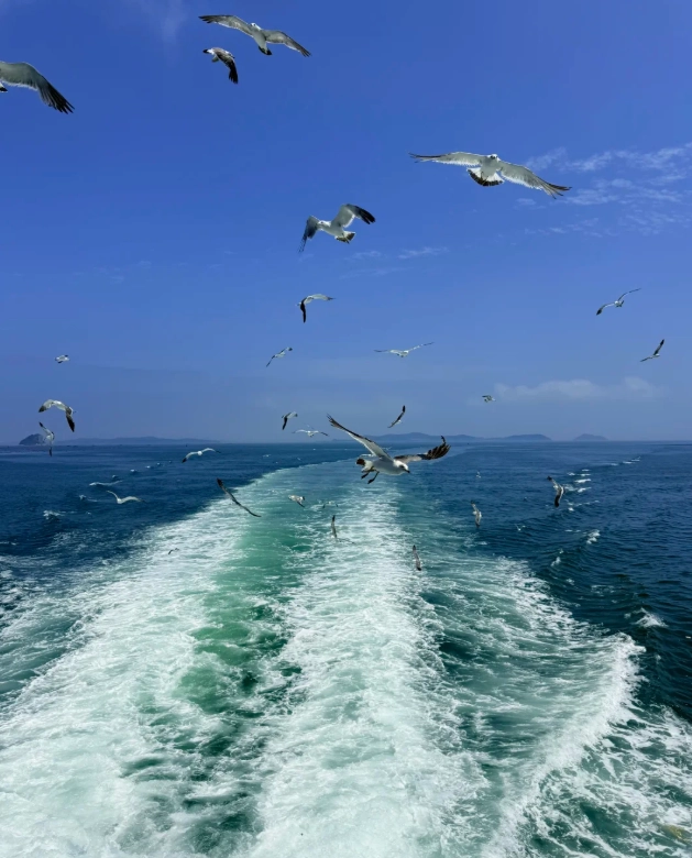 what to do in dalian
