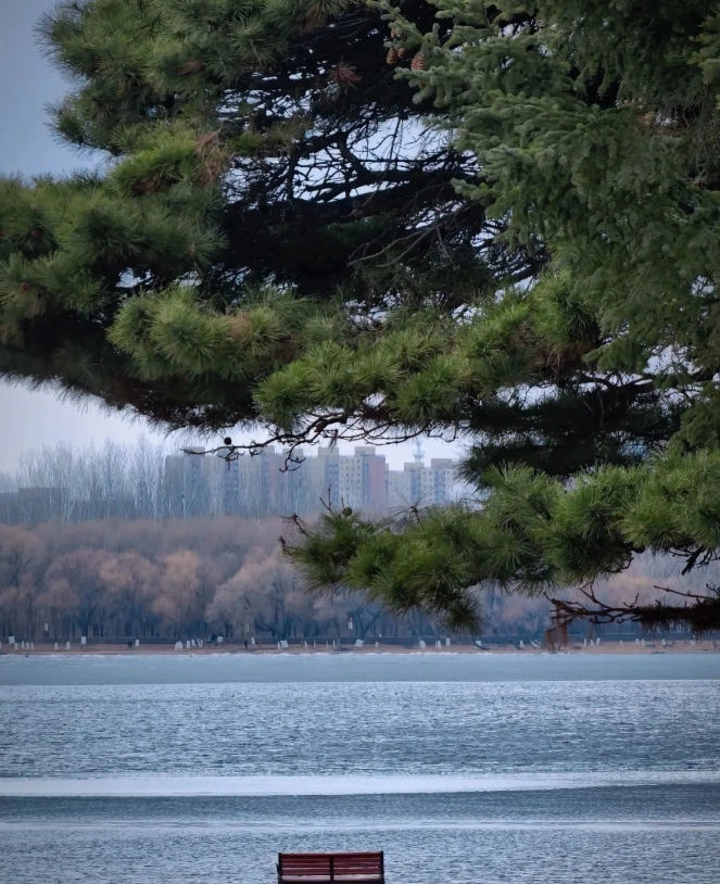 changchun travel guide changchun travel guide