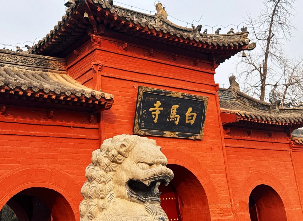 Henan free activities Henan free activities