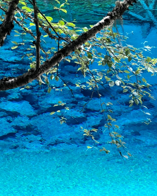 jiuzhaigou valley tour jiuzhaigou valley tour