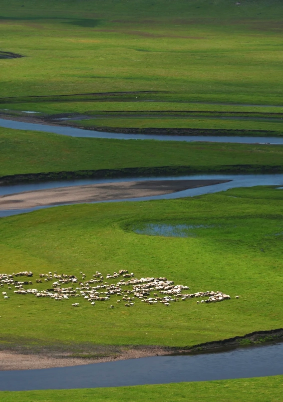 Hulunbuir Grassland Hulunbuir Grassland