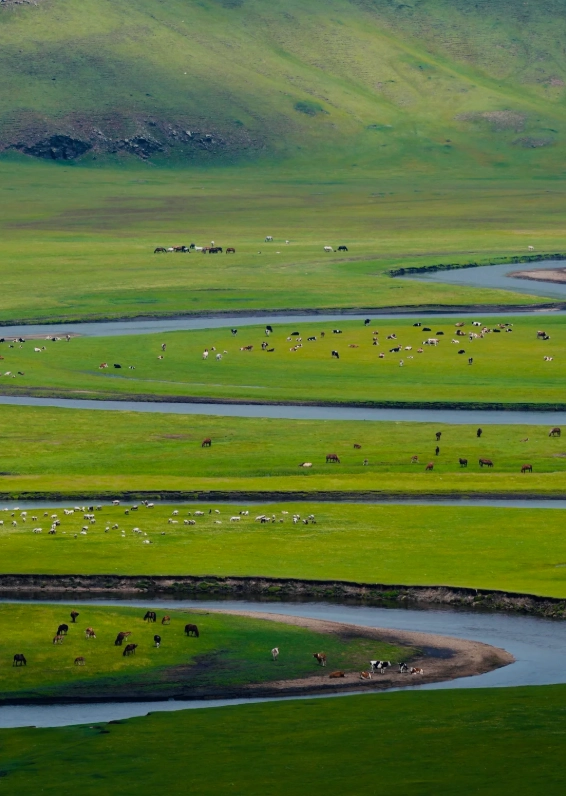 things to do in Inner Mongolia things to do in Inner Mongolia