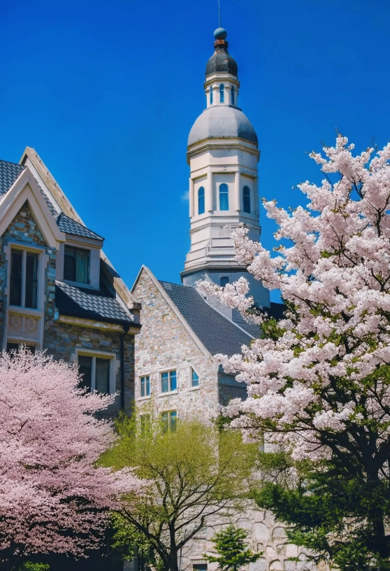 Changchun travel guide Changchun travel guide