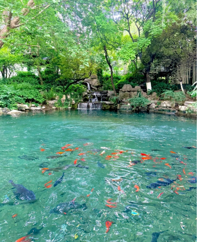 things to do in shandong things to do in shandong