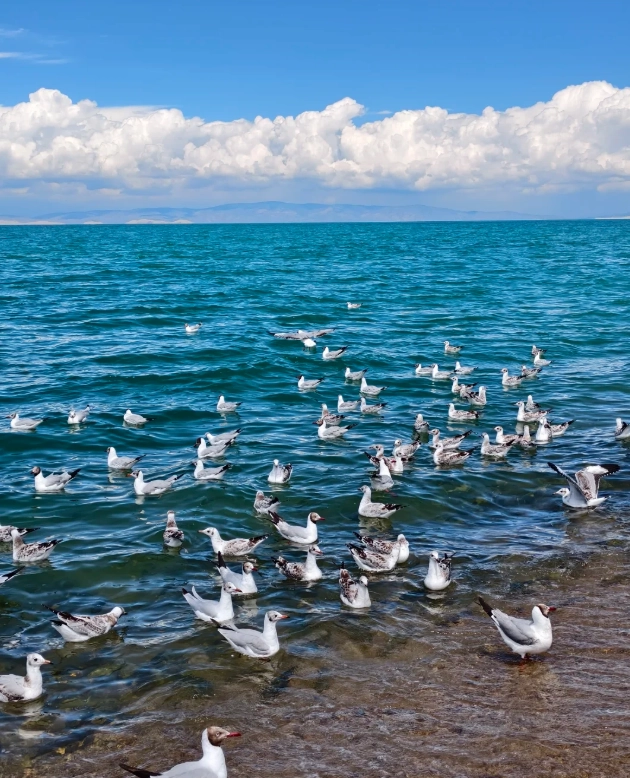 qinghai lake weekend