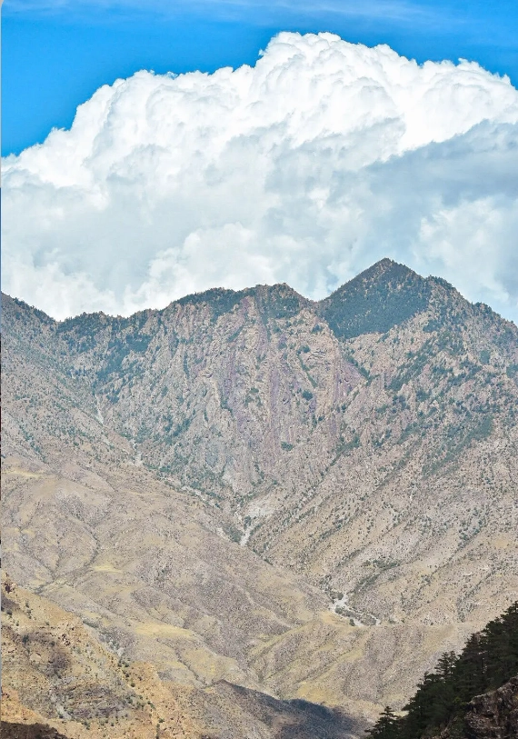 Is Ningxia Worth Visiting: What Tourists Don't Know
