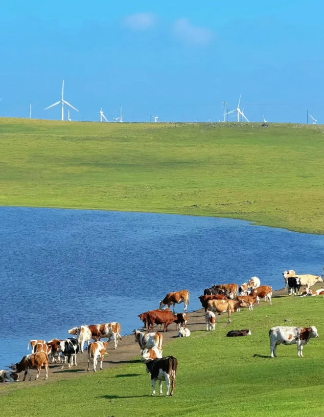 things to do in Inner Mongolia things to do in Inner Mongolia