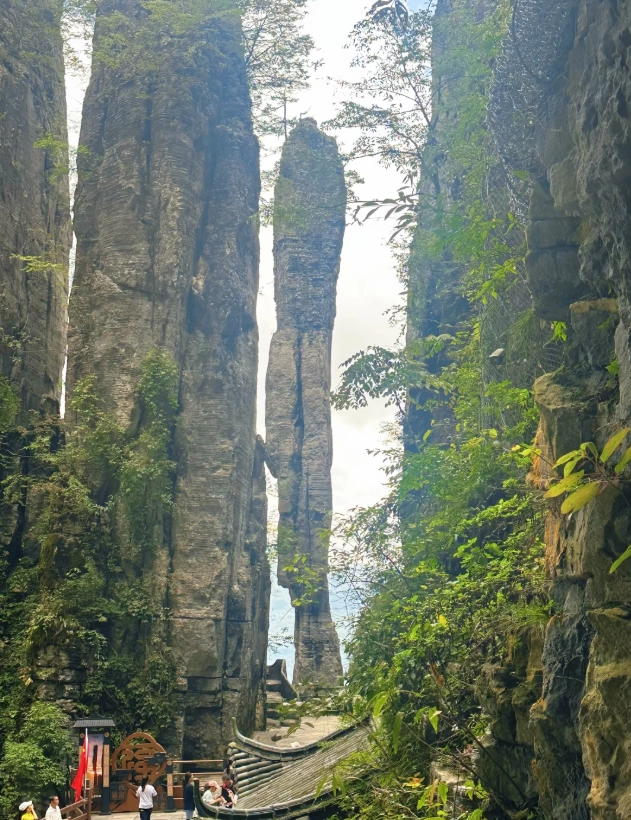 Wudang Mountain travel