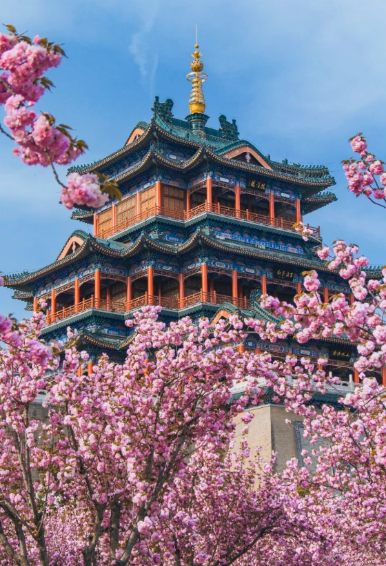 what to do in xianyang for free what to do in xianyang for free