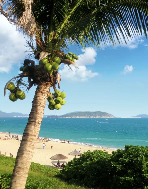 top attractions in hainan top attractions in hainan
