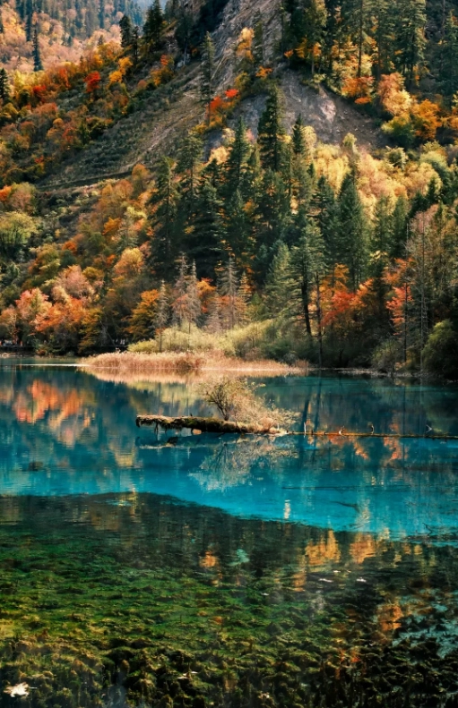 free attractions in Sichuan free attractions in Sichuan