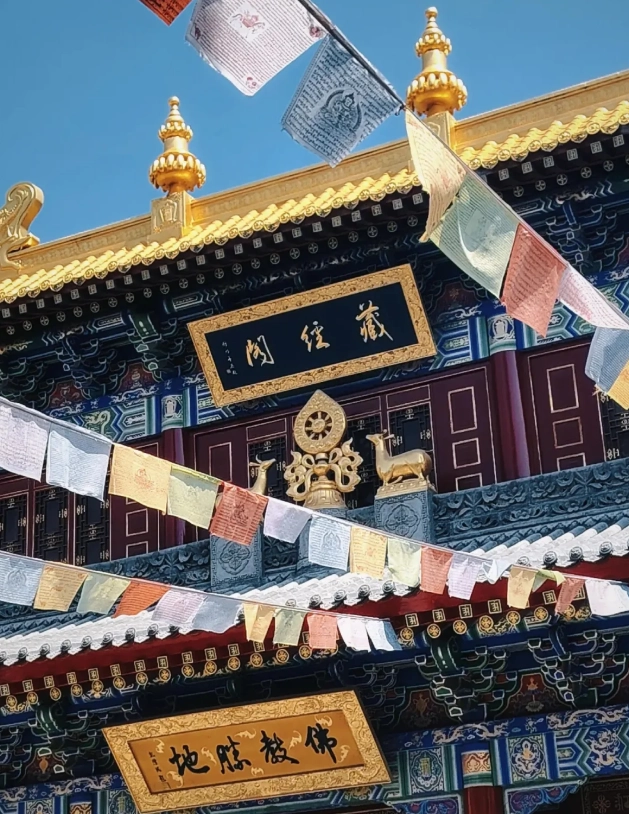 things to do in shaanxi things to do in shaanxi