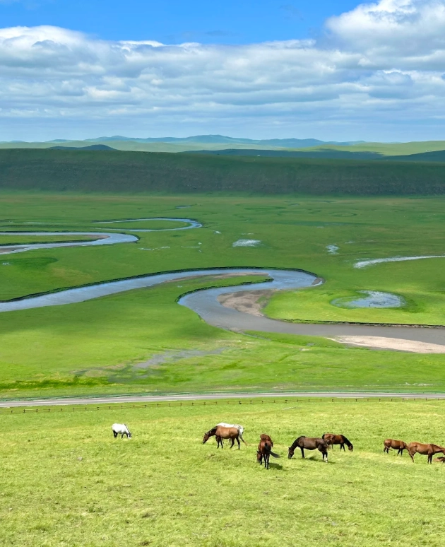 Top Things to Do in Inner Mongolia: 10 Essential Experiences
