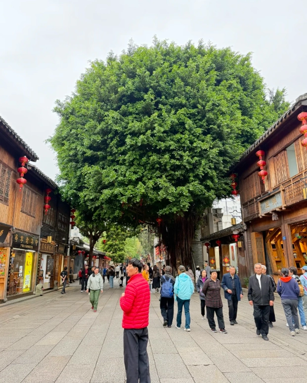 budget travel fujian budget travel fujian