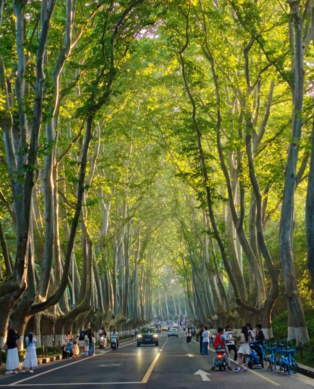 Best Places to Visit in Jiangsu: Insider Tips from a Local