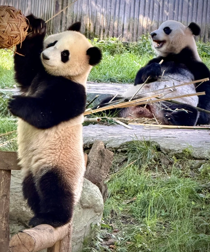 sichuan travel guide