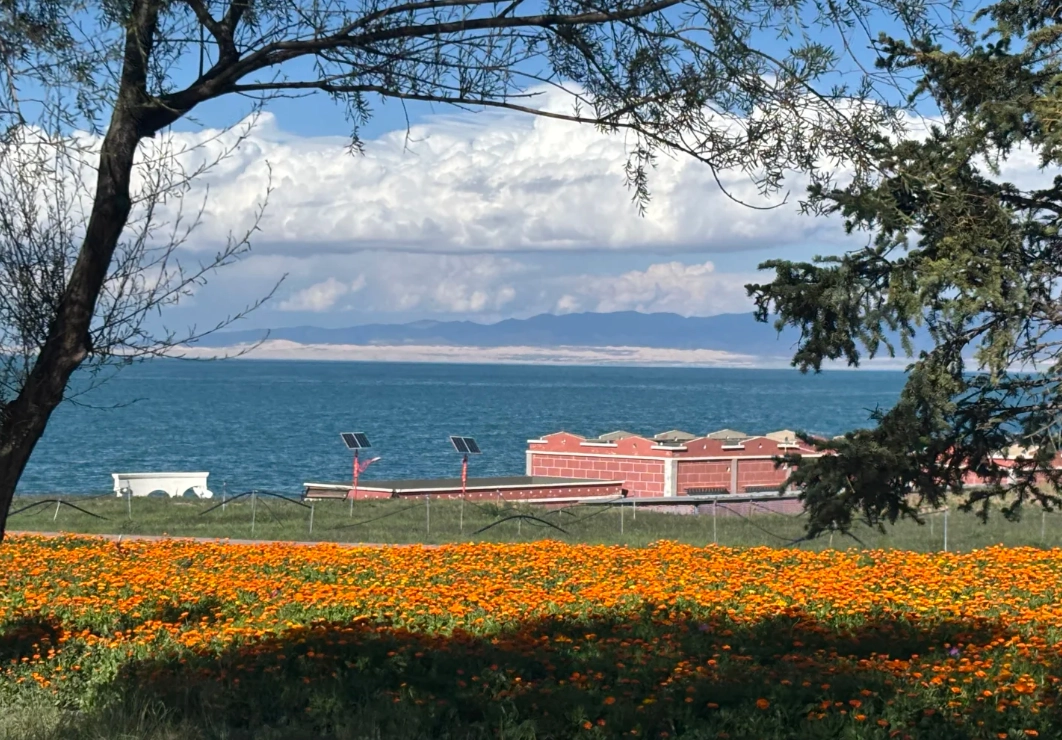 qinghai lake tips qinghai lake tips