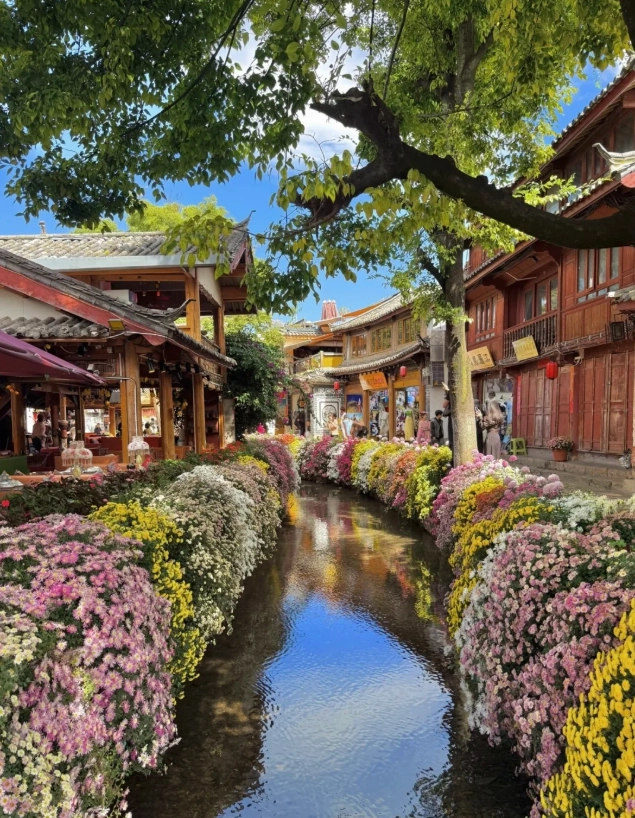 yunnan after dark