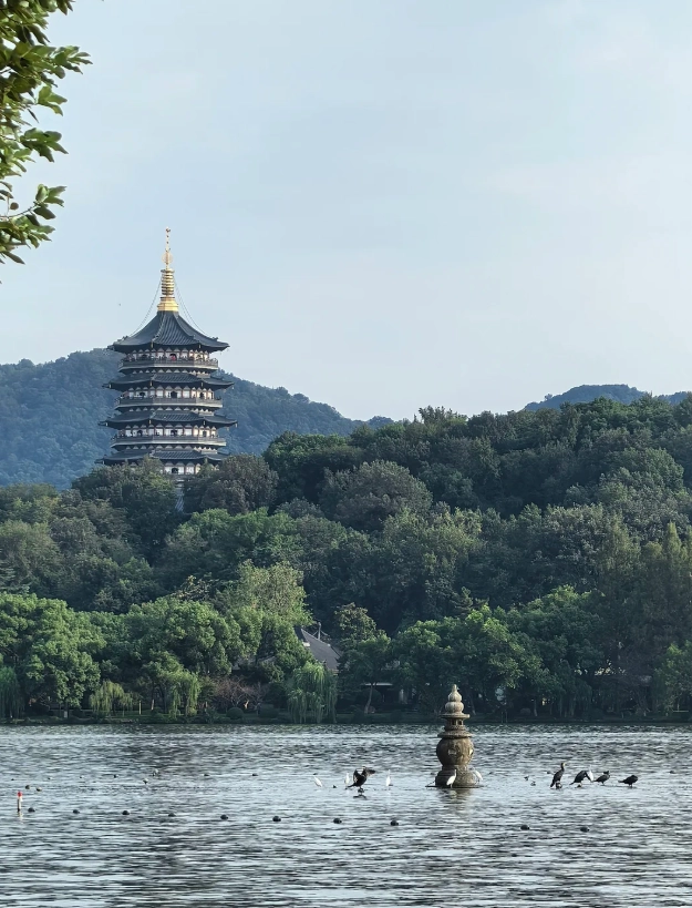 What to Do in Zhejiang for a Weekend: The Smart 48 Hours