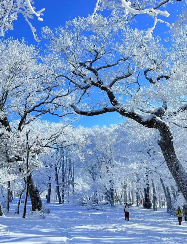 things to do in Jilin