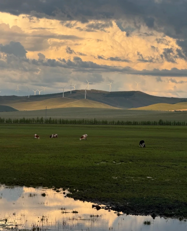 What to Do in Inner Mongolia: 5 Unmissable Experiences