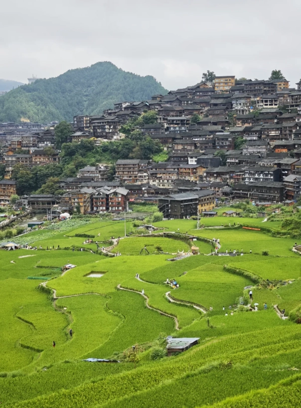 guizhou 5 day itinerary guizhou 5 day itinerary