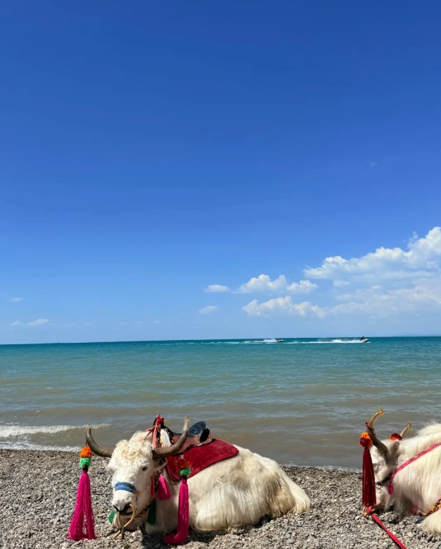 best time to visit qinghai best time to visit qinghai