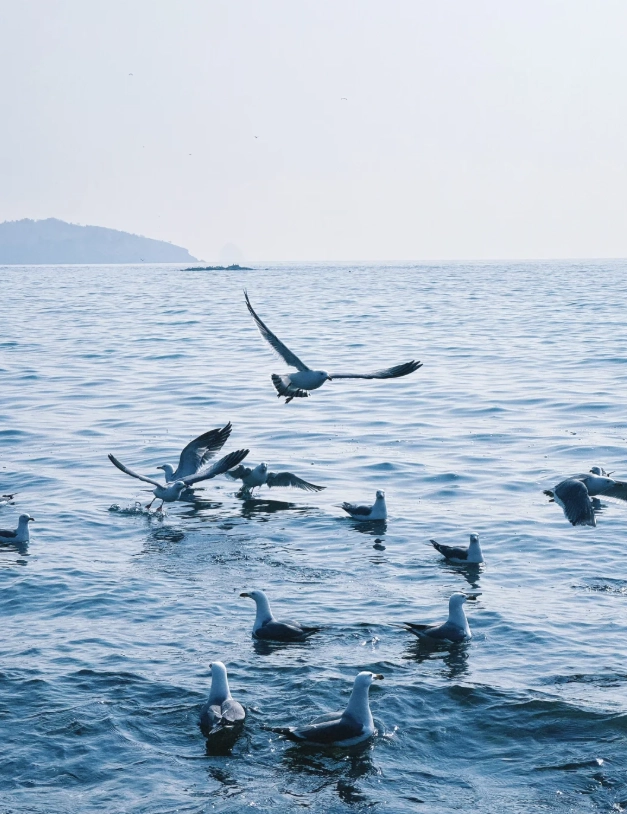 Dalian budget travel Dalian budget travel