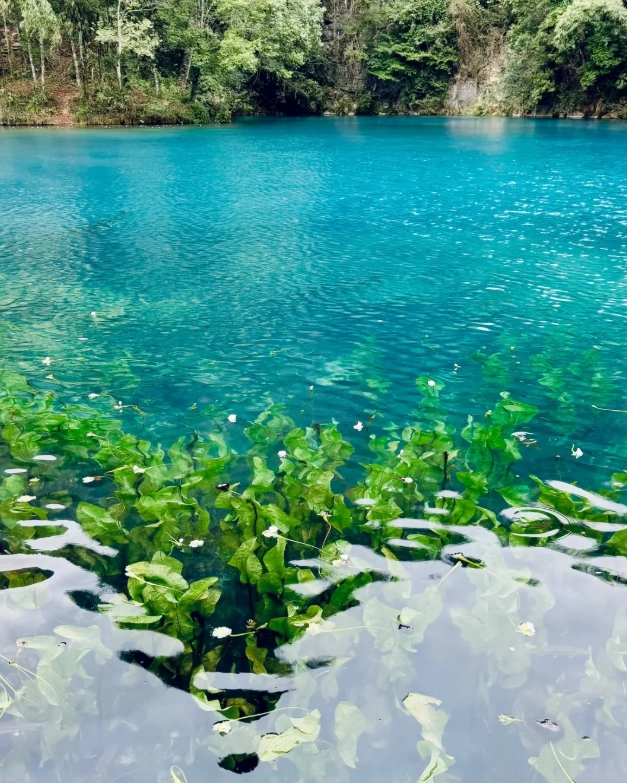 guizhou 5 day itinerary guizhou 5 day itinerary