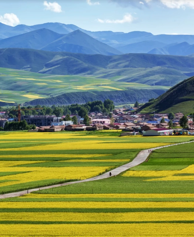 Qinghai Lake tour
