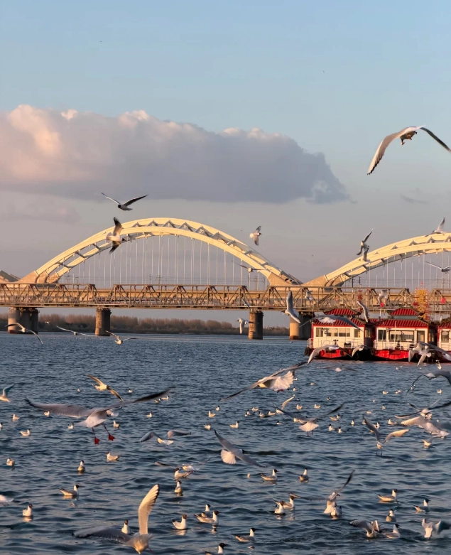 Heilongjiang winter travel Heilongjiang winter travel