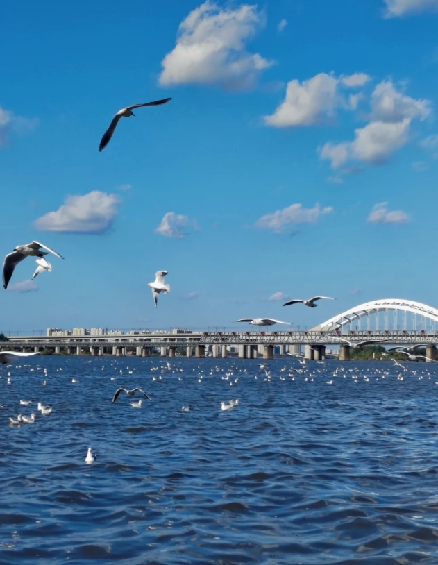 eSIM for Heilongjiang: Stay Online in China's Snow Country