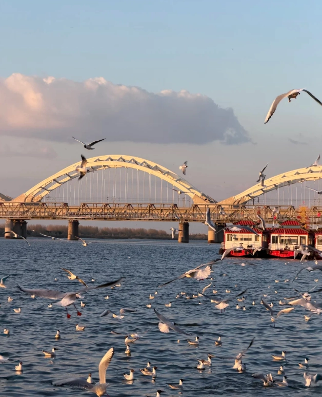 How to Get to Heilongjiang from Dalian: Train or Flight?