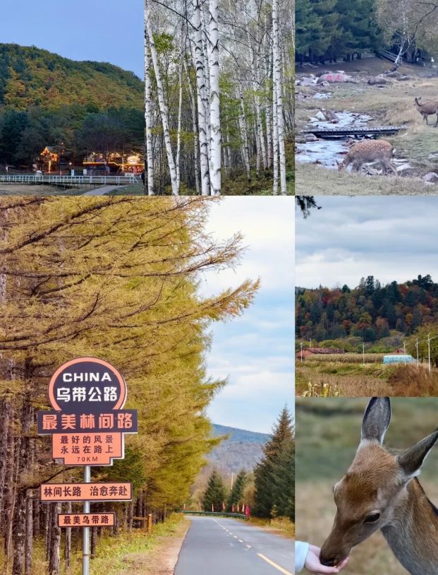 Heilongjiang travel tips Heilongjiang travel tips