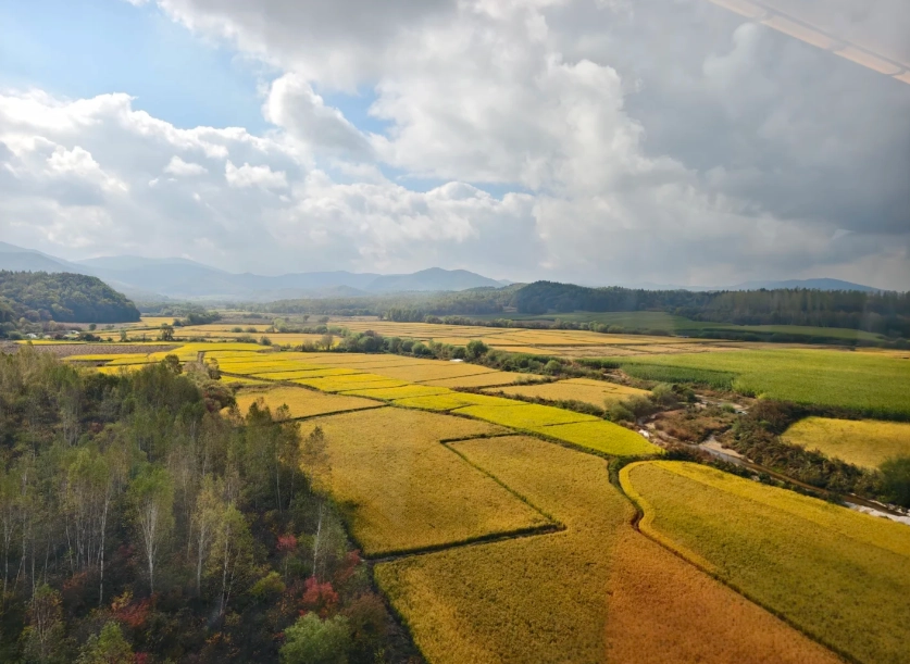 China high speed train for foreigners China high speed train for foreigners