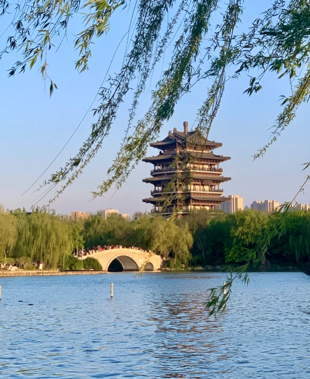 Shandong Transportation Options: Skip the Ticket Queues