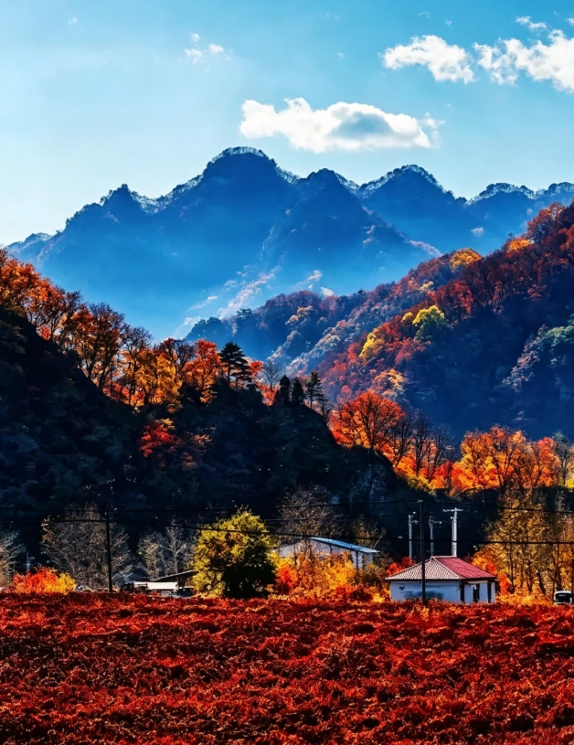 Liaoning budget travel: Eat Well on $25 a Day