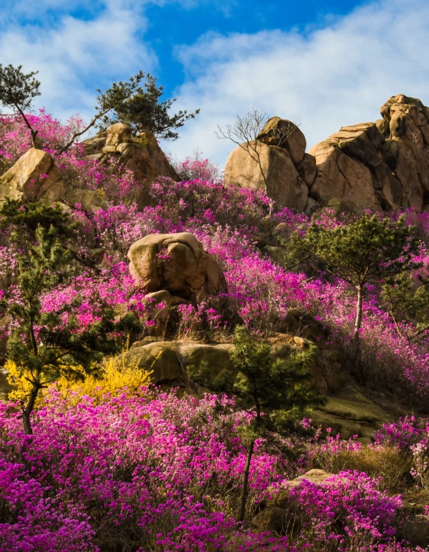 mount tai day trip from jinan mount tai day trip from jinan