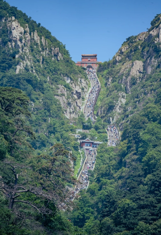 eSIM for Shandong: Skip the VPN, Land Connected