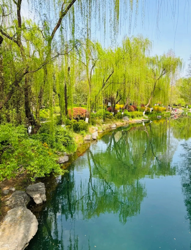 Shandong travel SIM card Shandong travel SIM card