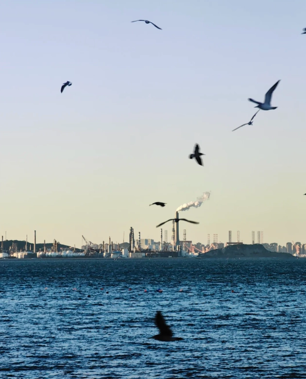 Dalian attractions Dalian attractions
