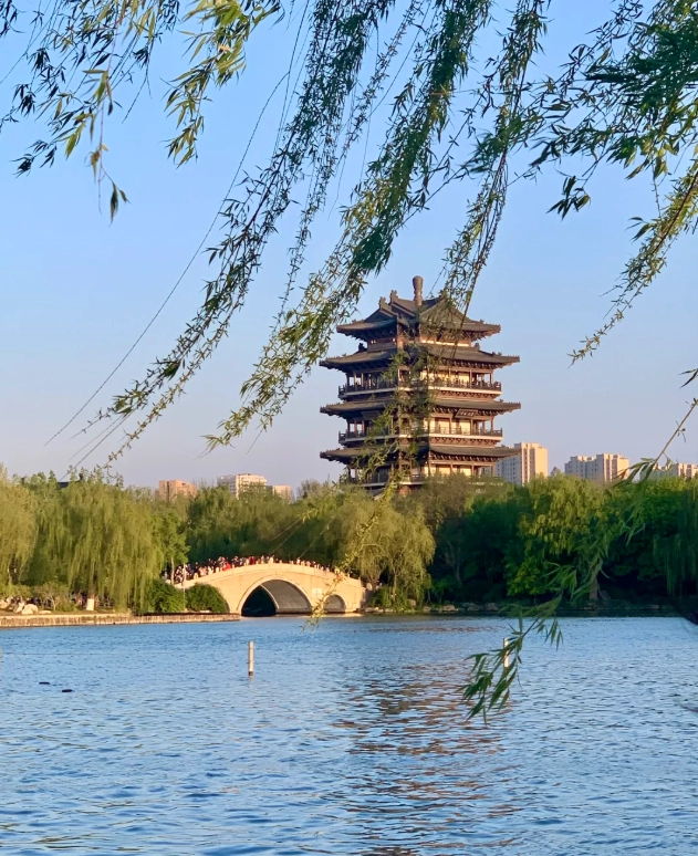 Shandong Must-Visit Places: Skip the Tourist Traps