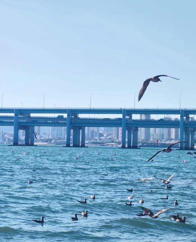 Dalian safety for solo travelers