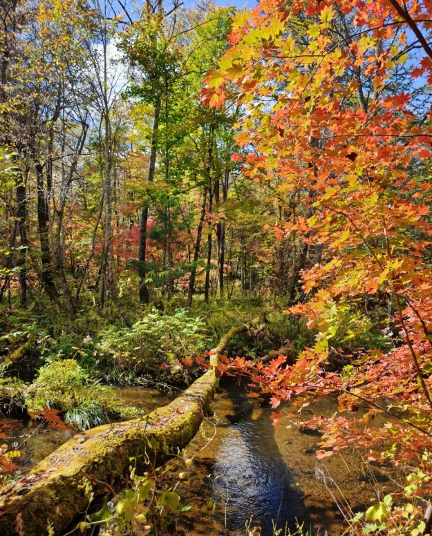 Northeast China autumn travel