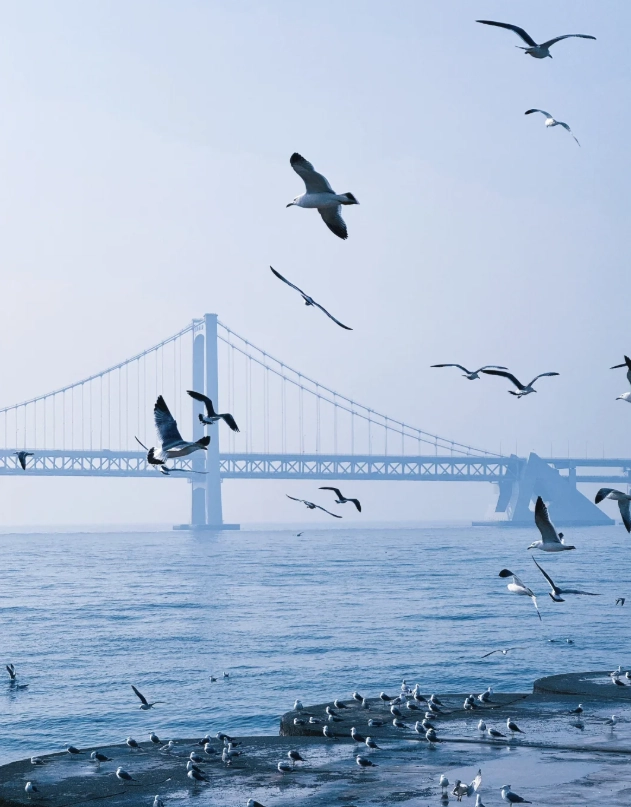 How to Get to Liaoning from Beijing: Skip the Wrong Station