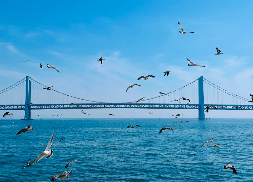 Dalian attractions