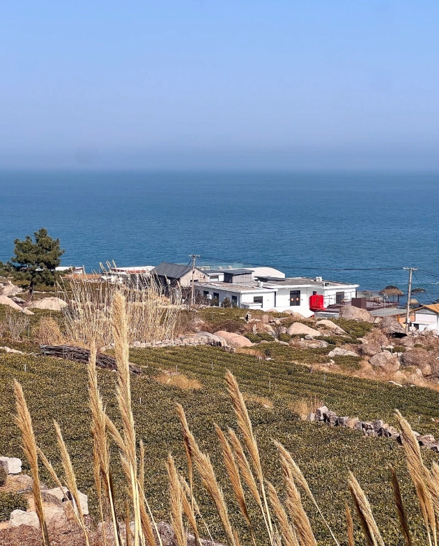 Shanghai to Qingdao train or flight Shanghai to Qingdao train or flight