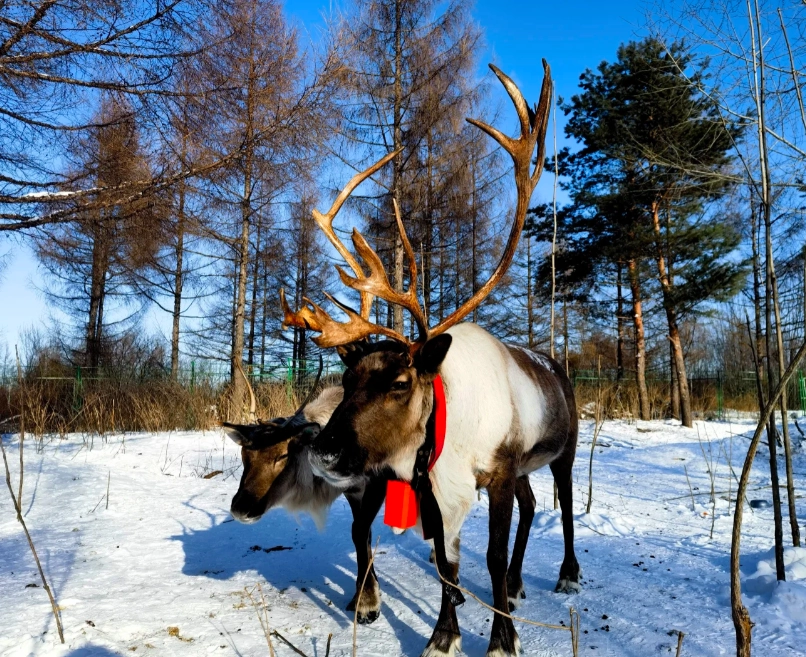 jilin province itinerary